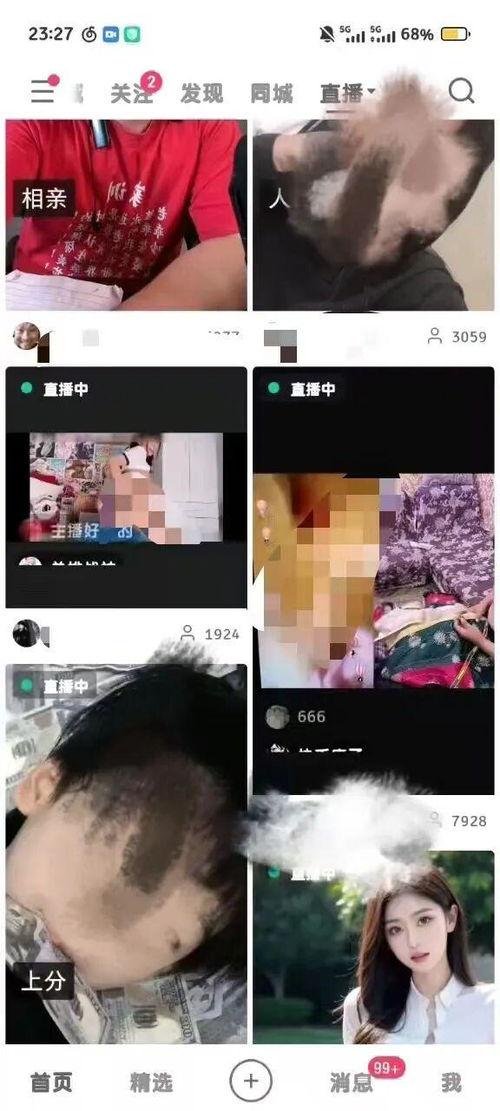 成人版视频免费版