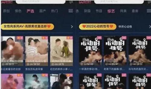 全球最大的成人网视频,行业现状与未来趋势