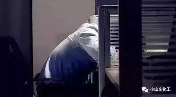 成人世界崩溃的视频大全,视频大全背后的真实人生