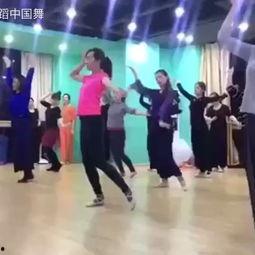 毛坝成人舞蹈视频播放,探寻民间舞蹈的魅力与传承